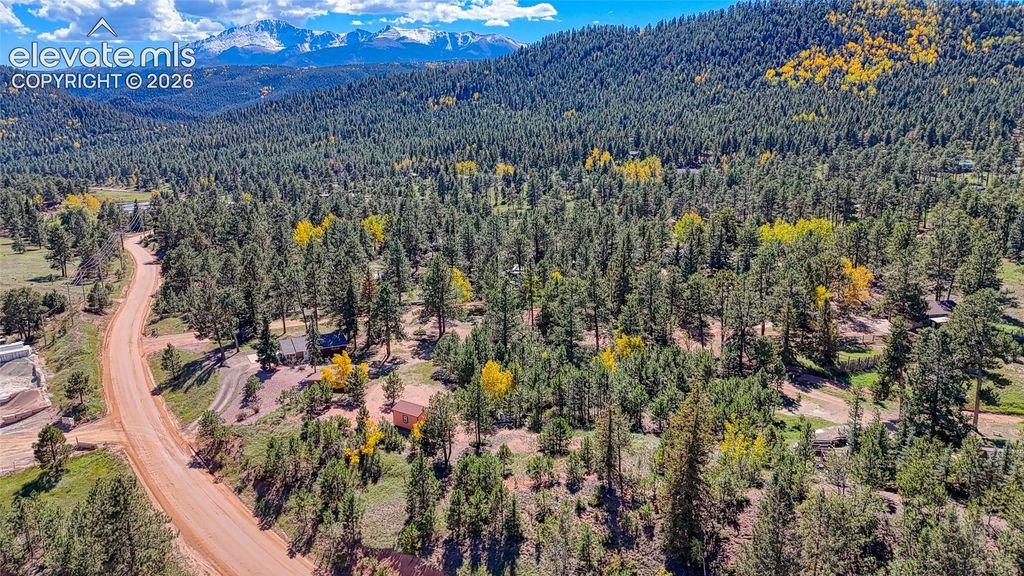 1867 Woodland Avenue, Woodland Park, CO 80863 — photo 5