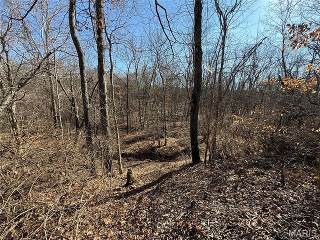 14176 Little Indian Creek, Lonedell, MO 63060