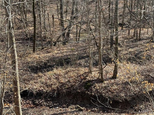 14176 Little Indian Creek, Lonedell, MO 63060