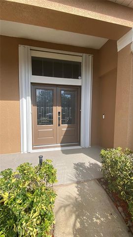 3127 RIACHUELO LANE, Kissimmee, FL 34744