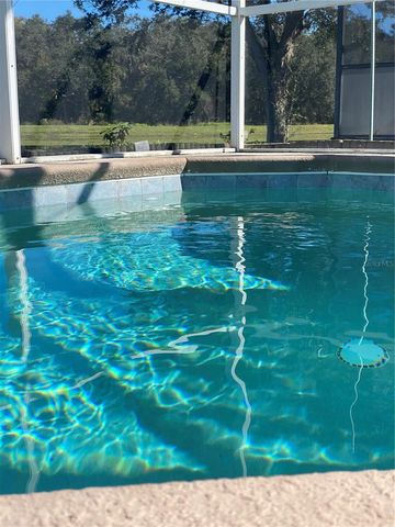 3127 RIACHUELO LANE, Kissimmee, FL 34744