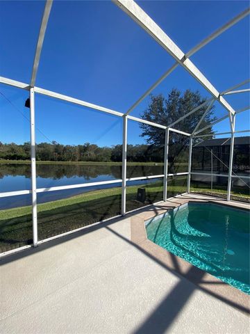 3127 RIACHUELO LANE, Kissimmee, FL 34744