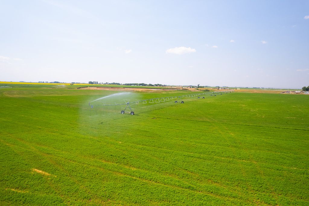 1176 County Line Road, Fort Shaw, MT 59443 photo 17