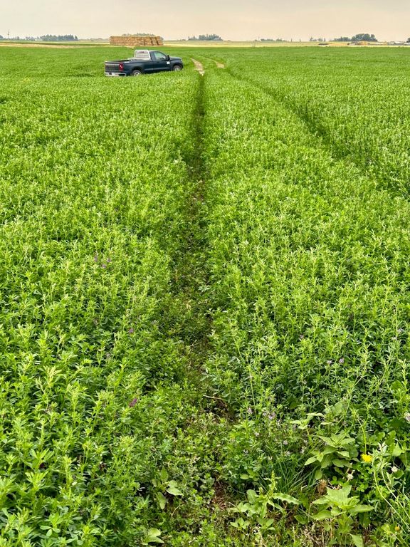 1176 County Line Road, Fort Shaw, MT 59443 photo 19