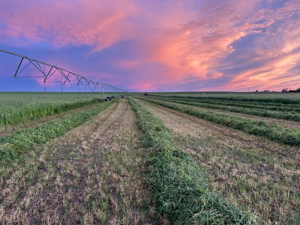 1176 County Line Road, Fort Shaw, MT 59443 photo 21