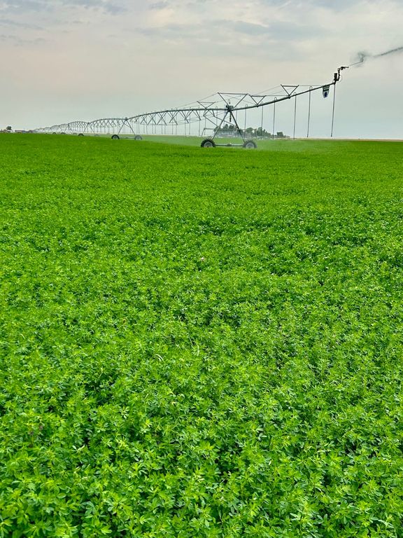 1176 County Line Road, Fort Shaw, MT 59443 photo 23