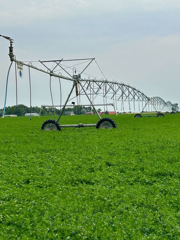 1176 County Line Road, Fort Shaw, MT 59443 photo 3