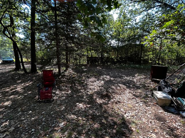 105 Mimosa Street, Branson, MO 65616