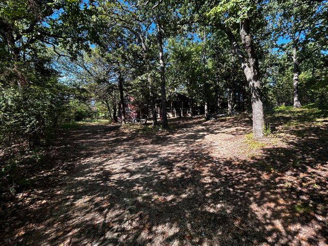 105 Mimosa Street, Branson, MO 65616