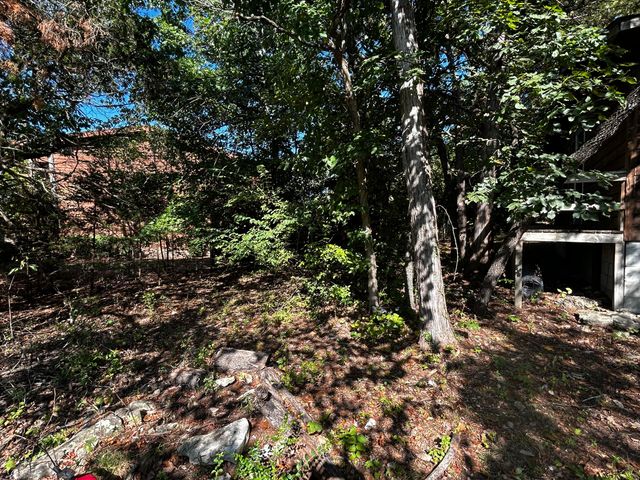 105 Mimosa Street, Branson, MO 65616