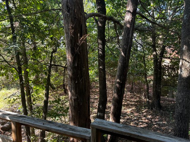 105 Mimosa Street, Branson, MO 65616