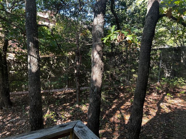 105 Mimosa Street, Branson, MO 65616