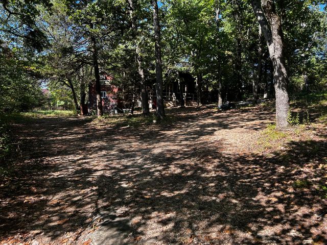 105 Mimosa Street, Branson, MO 65616