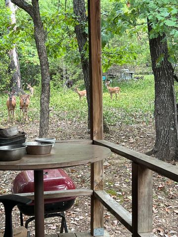 105 Mimosa Street, Branson, MO 65616