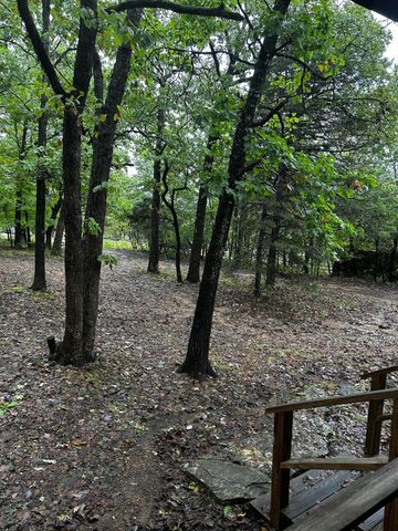 105 Mimosa Street, Branson, MO 65616