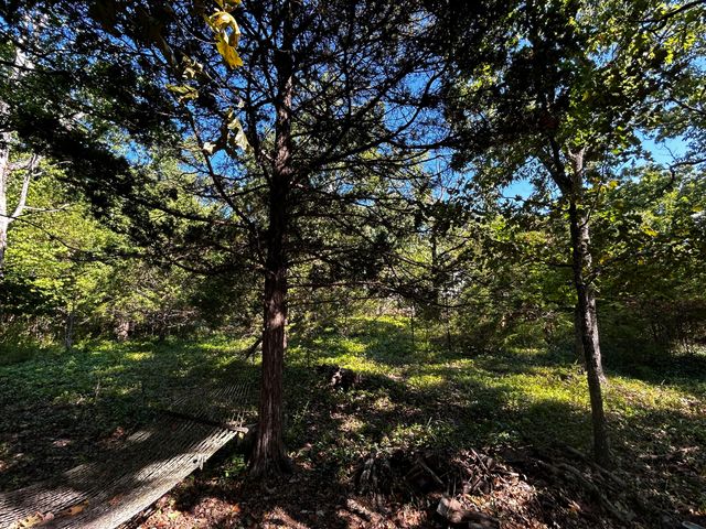 105 Mimosa Street, Branson, MO 65616