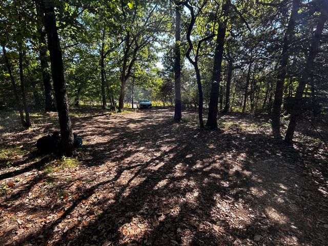 105 Mimosa Street, Branson, MO 65616