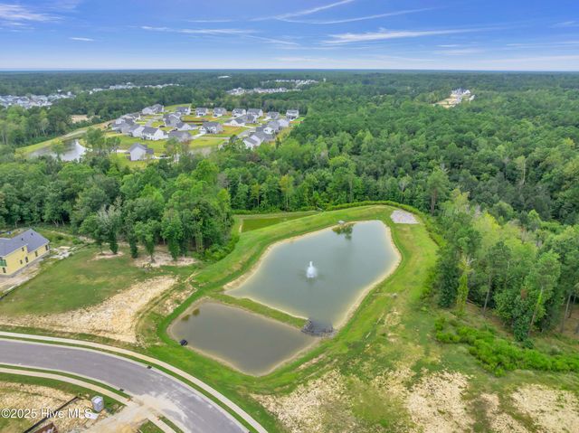 103 Dragonfly Lane, Hampstead, NC 28443