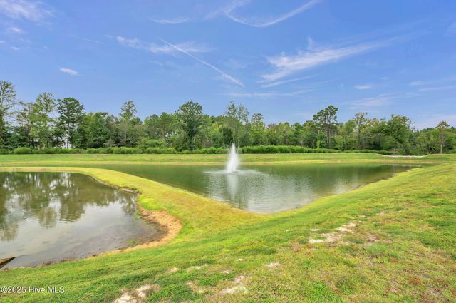 103 Dragonfly Lane, Hampstead, NC 28443