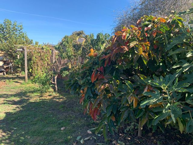 166 Afton Road, Salinas, CA 93905