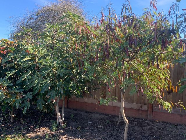 166 Afton Road, Salinas, CA 93905