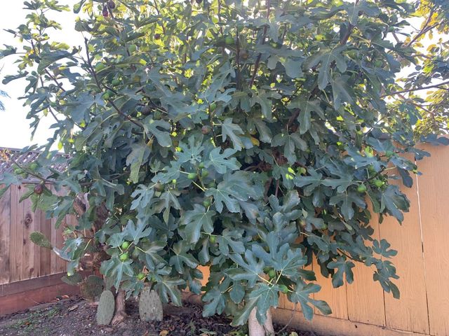 166 Afton Road, Salinas, CA 93905