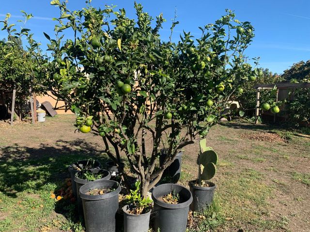 166 Afton Road, Salinas, CA 93905