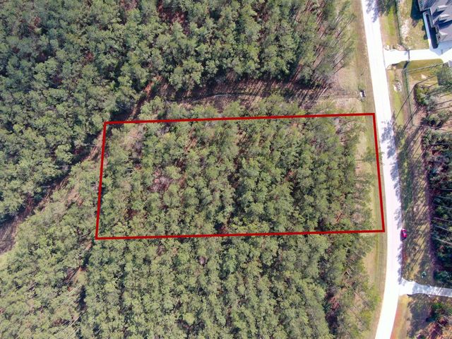 15688 Wooded Trail Way, Willis, TX 77378