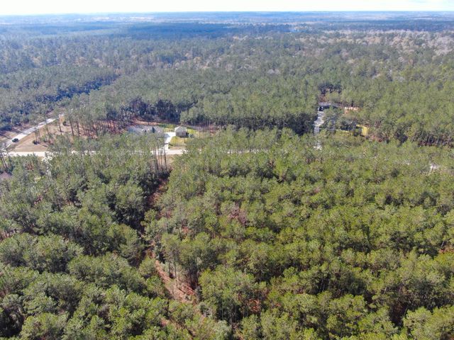 15688 Wooded Trail Way, Willis, TX 77378