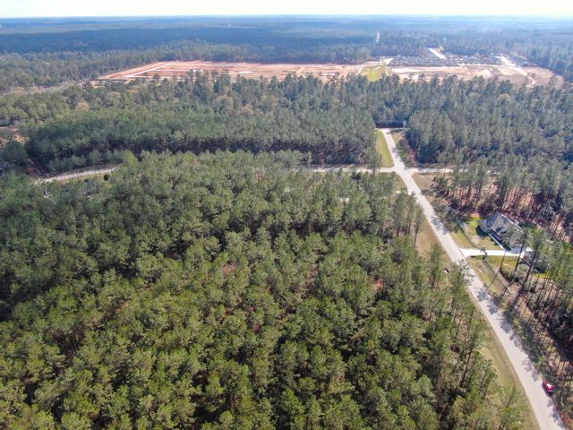 15688 Wooded Trail Way, Willis, TX 77378