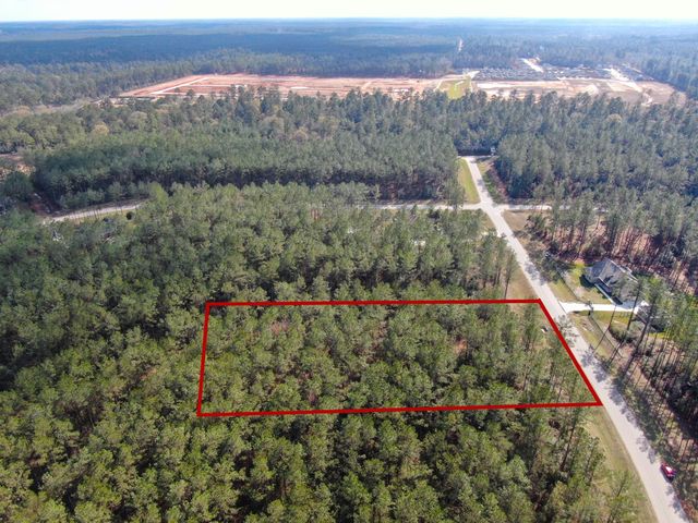 15688 Wooded Trail Way, Willis, TX 77378