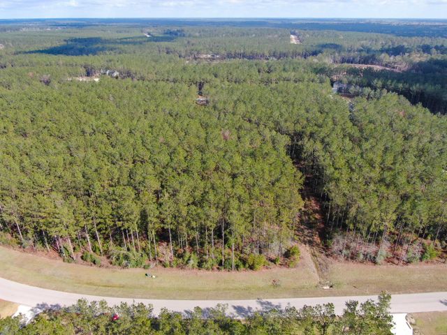 15688 Wooded Trail Way, Willis, TX 77378