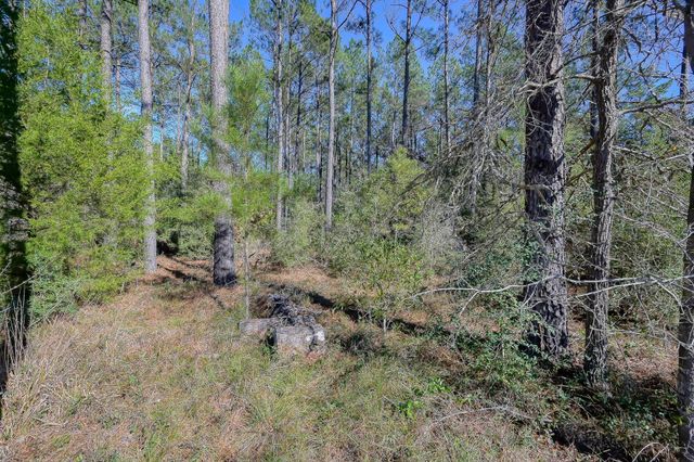 15688 Wooded Trail Way, Willis, TX 77378