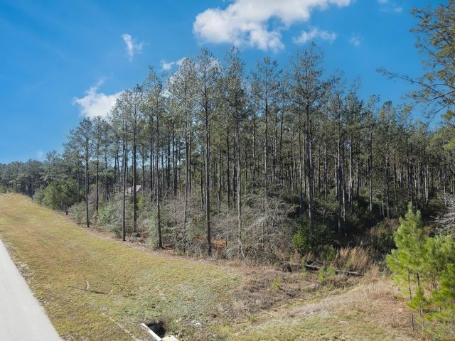 15688 Wooded Trail Way, Willis, TX 77378