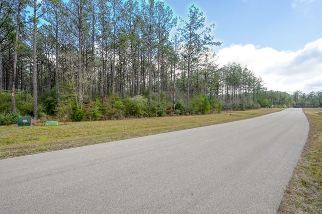 15688 Wooded Trail Way, Willis, TX 77378