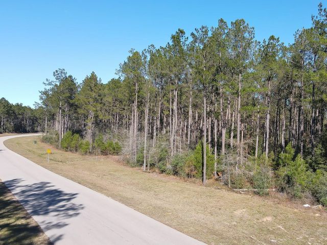 15688 Wooded Trail Way, Willis, TX 77378