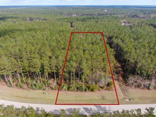 15688 Wooded Trail Way, Willis, TX 77378