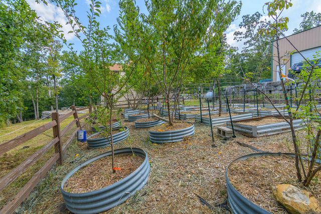 1615 Rustic Acres Road, Kirbyville, MO 65679