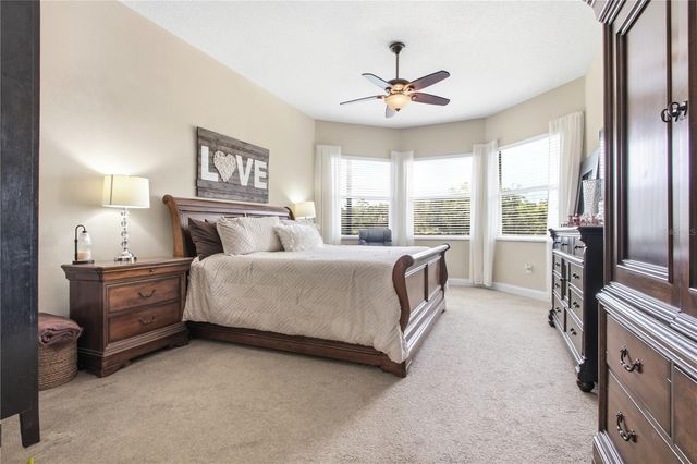 3431 DIAMOND FALLS CIRCLE, Land O Lakes, FL 34638