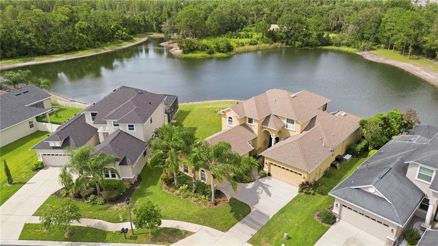 3431 DIAMOND FALLS CIRCLE, Land O Lakes, FL 34638