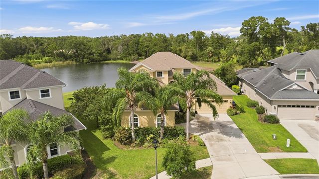 3431 DIAMOND FALLS CIRCLE, Land O Lakes, FL 34638