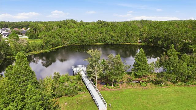 3431 DIAMOND FALLS CIRCLE, Land O Lakes, FL 34638