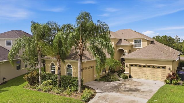 3431 DIAMOND FALLS CIRCLE, Land O Lakes, FL 34638