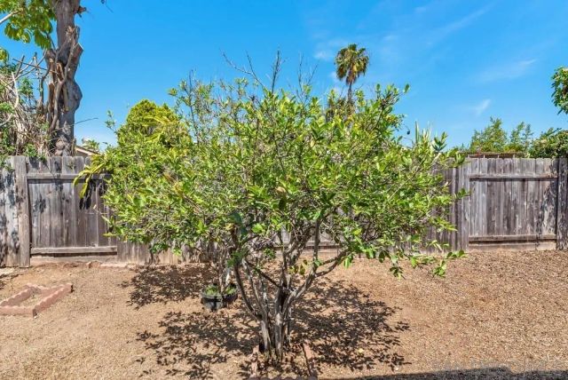 10359 Londonderry Ave, San Diego, CA 92126