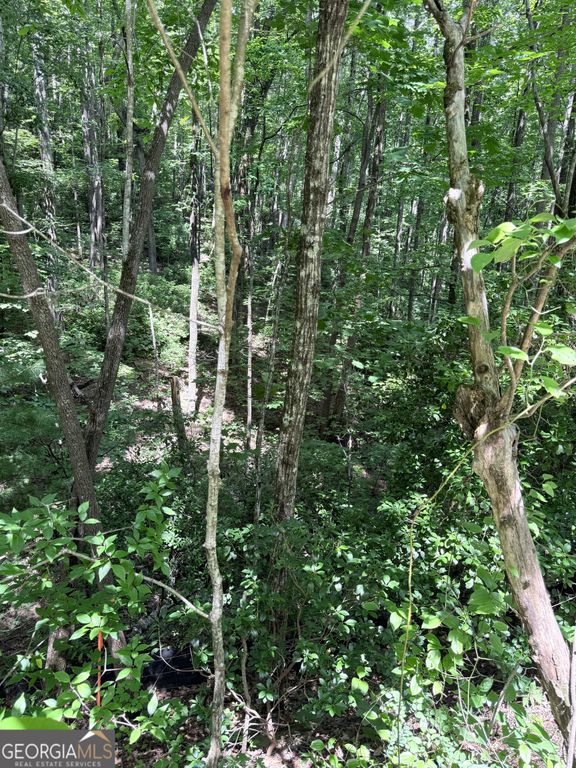 LOT 856 Larkspur Lane, Clayton, GA 30525 — exterior