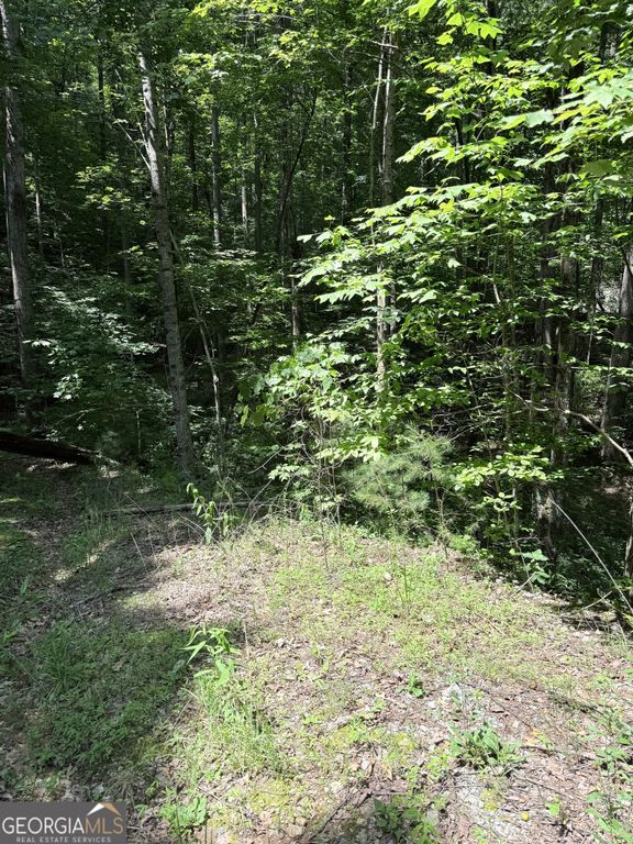 LOT 856 Larkspur Lane, Clayton, GA 30525 — photo 3