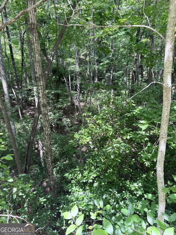 LOT 856 Larkspur Lane, Clayton, GA 30525 — photo 4