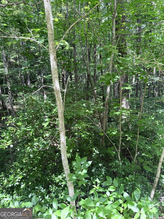 LOT 856 Larkspur Lane, Clayton, GA 30525 — photo 5