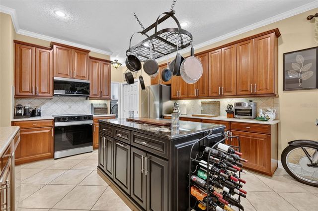 3000 ISOLA BELLA BOULEVARD, Mount Dora, FL 32757