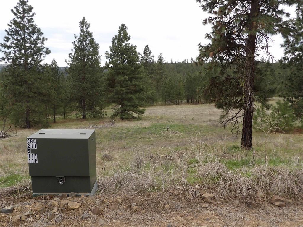 Tract E Meadow Lane Rd, Davenport, WA 99122 photo 13